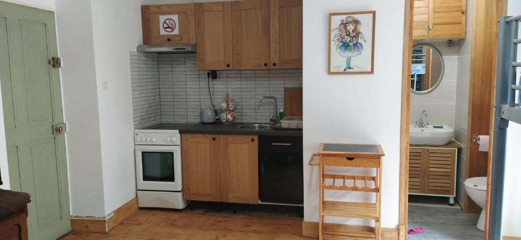 Kuchyň nebo kuchyňský kout v ubytování Appartements au bord de la rivière