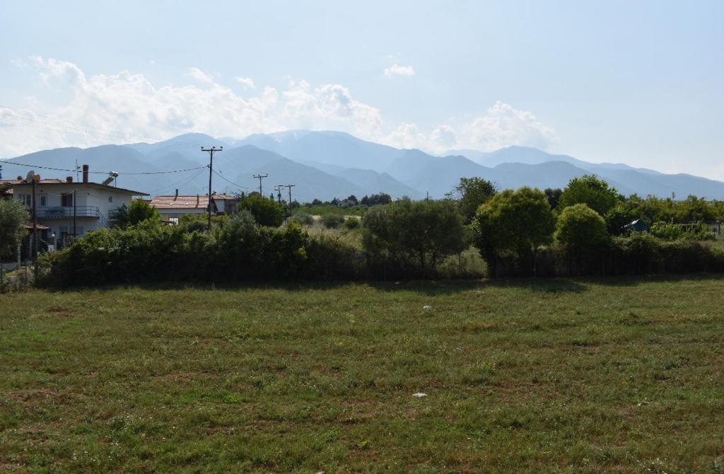 SeaShore Living - 16