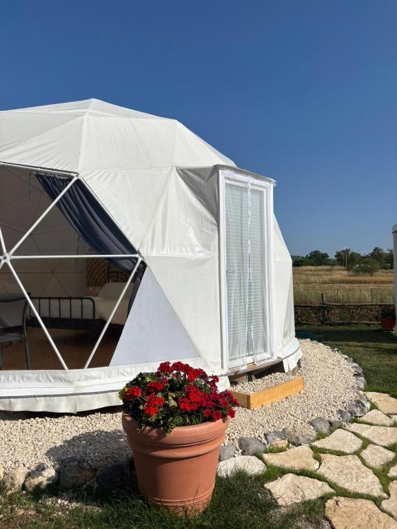 Zahrada ubytování Glamping Monte Velino