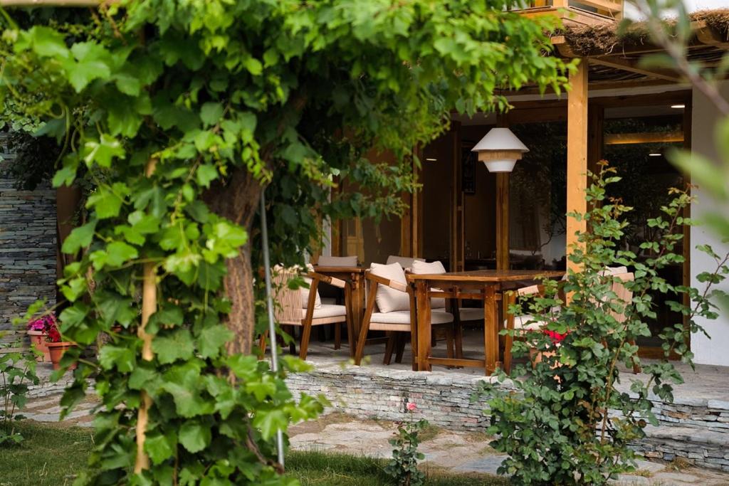 Zahrada ubytování Hotel Stendel