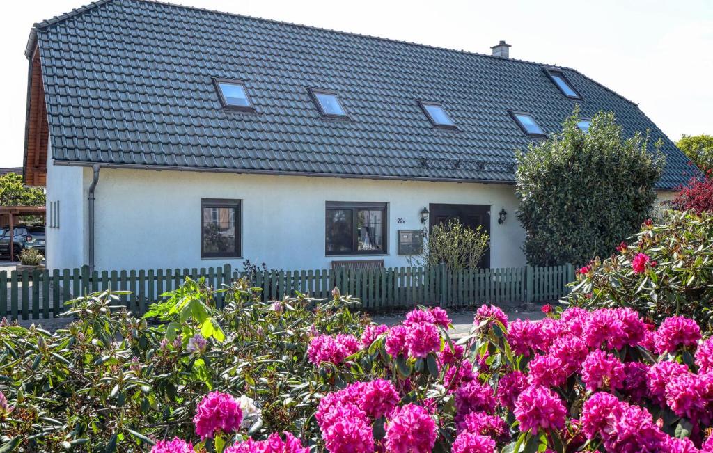 Κήπος έξω από το Ferienwohnung Ueckermünde