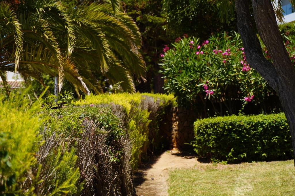 Clube Porto Mos - Sunplace Hotels & Beach Resort - 5