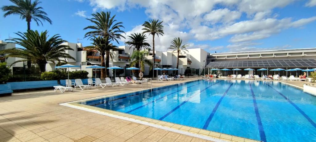 Tenerife South Apartment