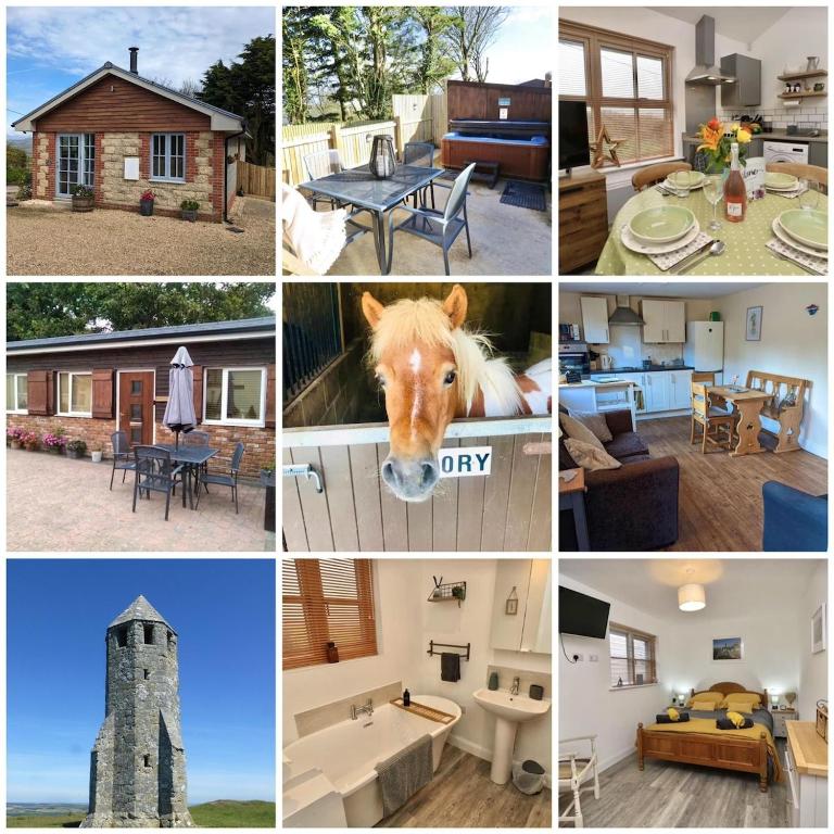 a collage of pictures of homes and a horse at The Pepper pot in Niton