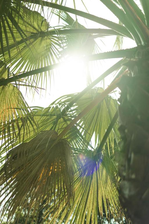 Cézanne Hôtel - Resim 13