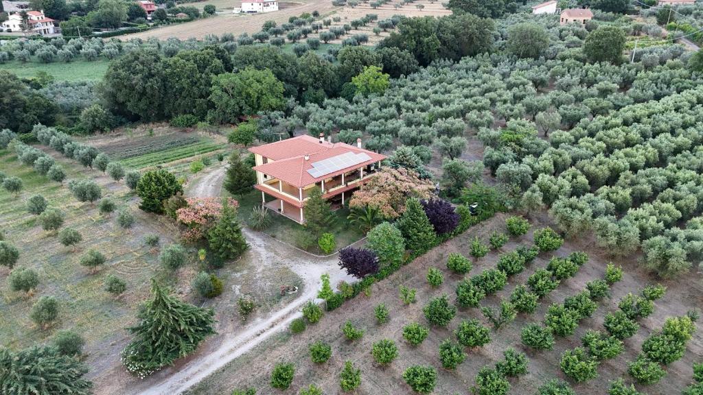 una vista aerea di una casa con giardino di Agriturismo Le Quattro Stagioni a Viterbo