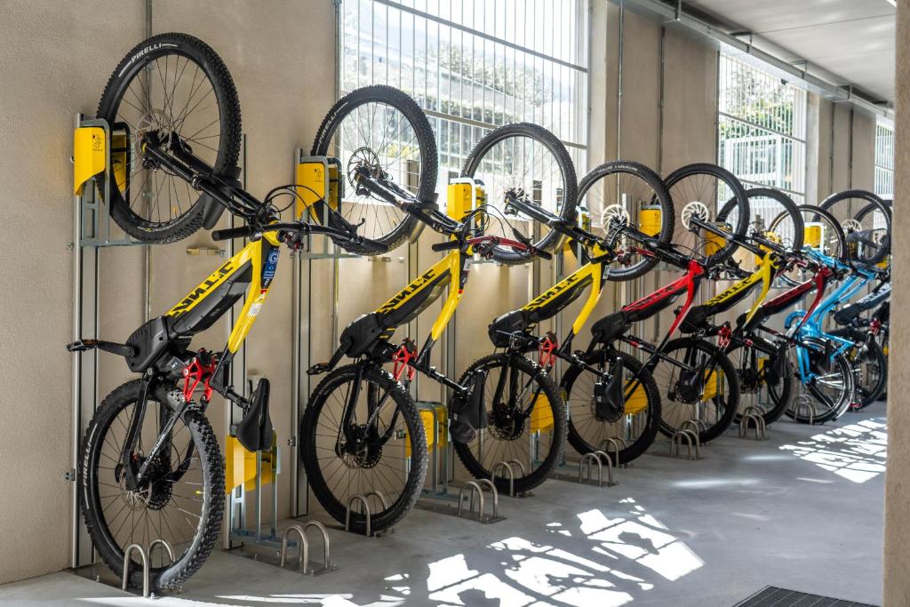 Jízda na kole v ubytování Caravel Bike Hotel nebo okolí