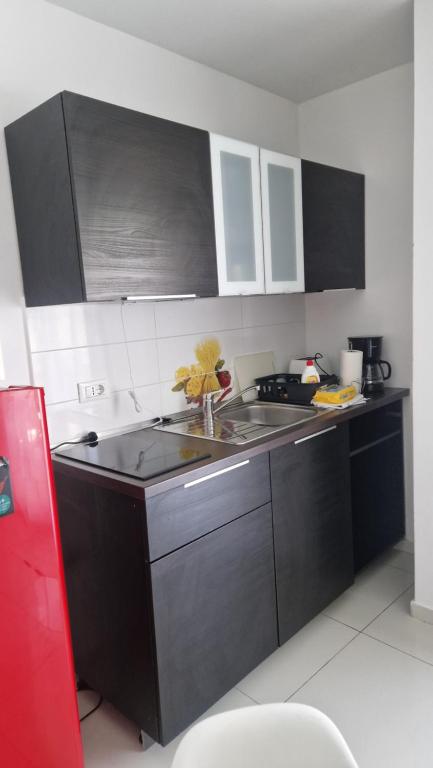 Küche&#47;Küchenzeile in der Unterkunft Basic Mansion Mandalina