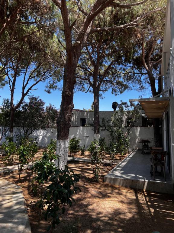 a yard with a tree and a building at ByAKKAN HOTEL in Bodrum City