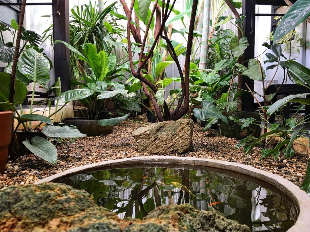 Su Kho Rom always home ศุโขรมย์ - Adults Only - 19