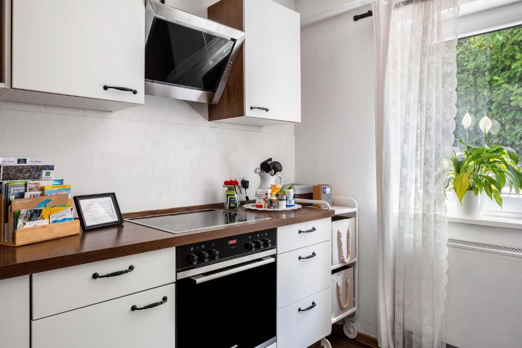 Kuchyň nebo kuchyňský kout v ubytování Haus Albi