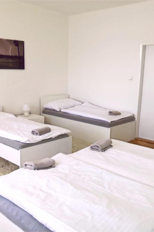 Cama o camas de una habitación en Vilas & Wellness Resort Orlík