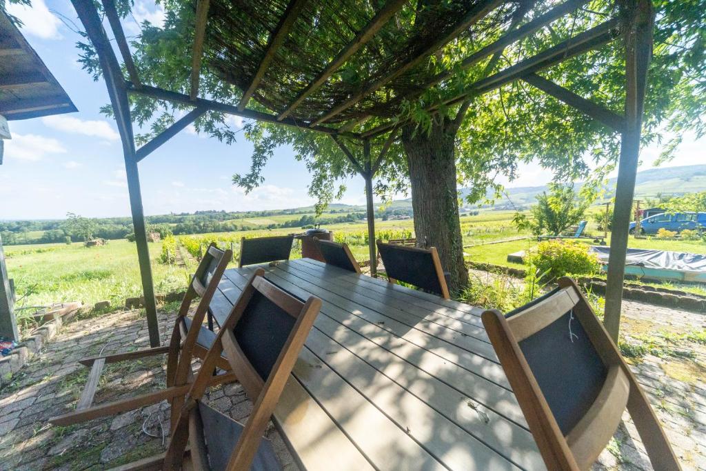 Photo de la galerie de l'établissement Villa au calme, vue sur vignes - idéale familles, clim & parking, à La Chapelle-de-Guinchay