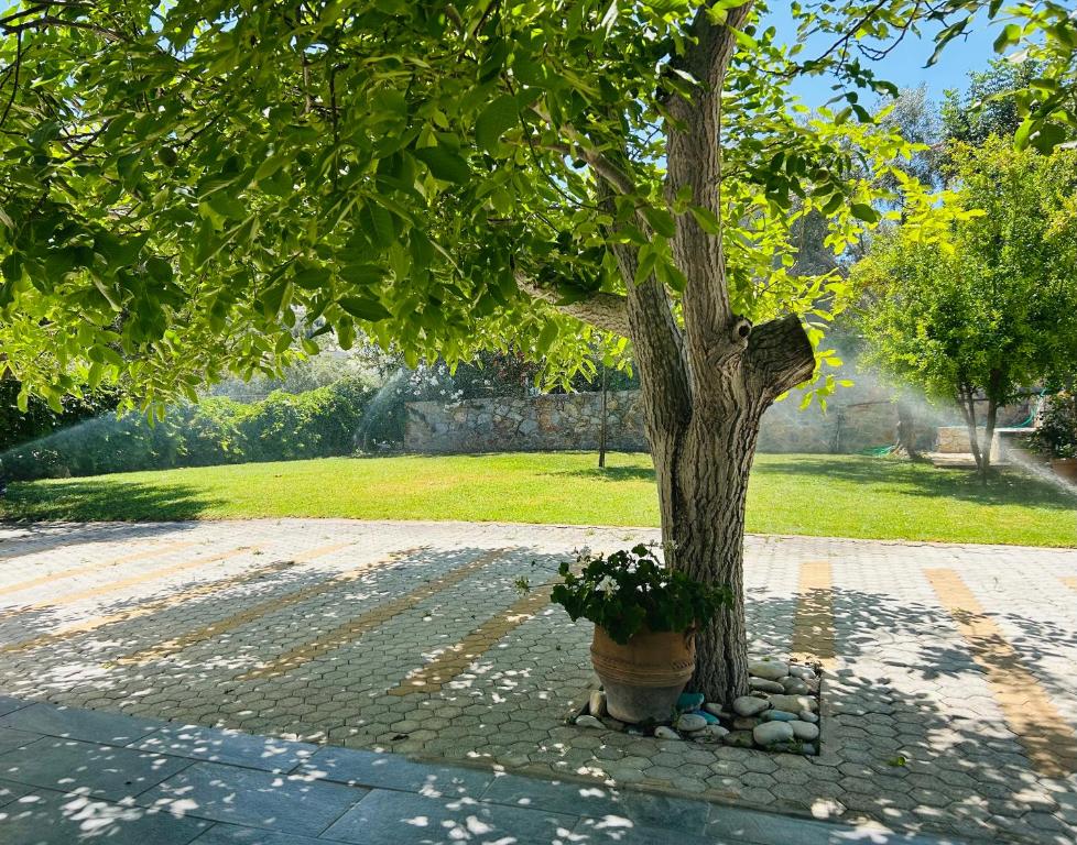 Zahrada ubytování Chrisi Holiday Home - 500 sqm Private Gardens & Nature View - 300m by the sea