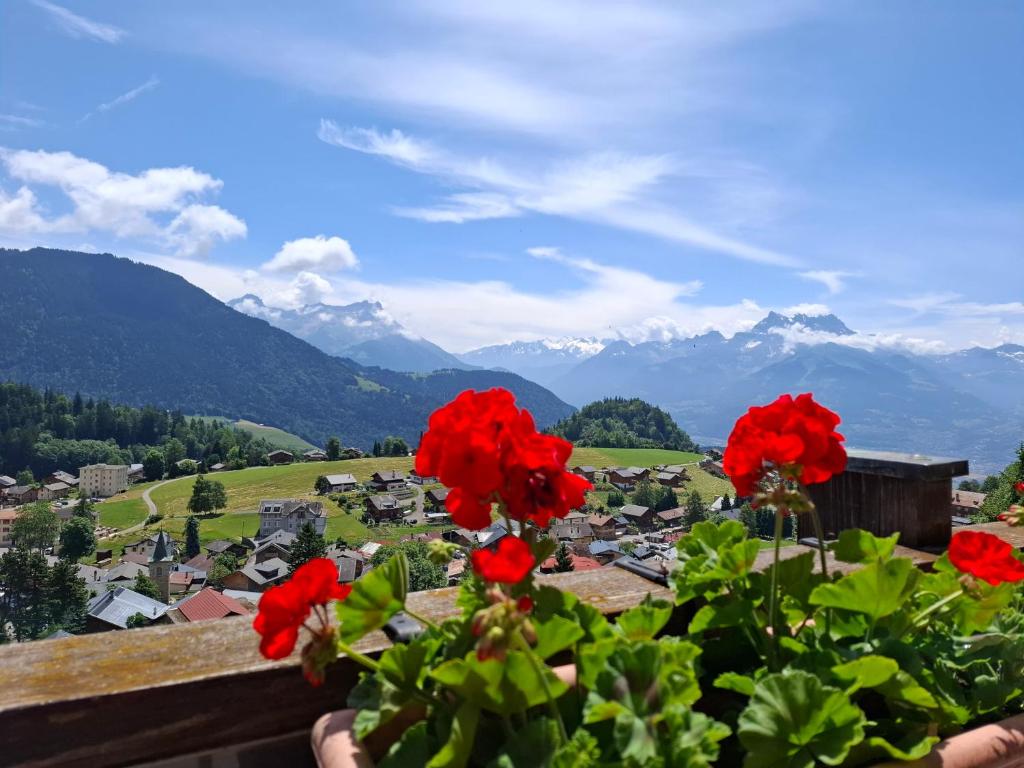 莱森Le Nid d'aigle apt Leysin centre avec forfait piscine sauna jacuzzi en option的享有红花村的景色