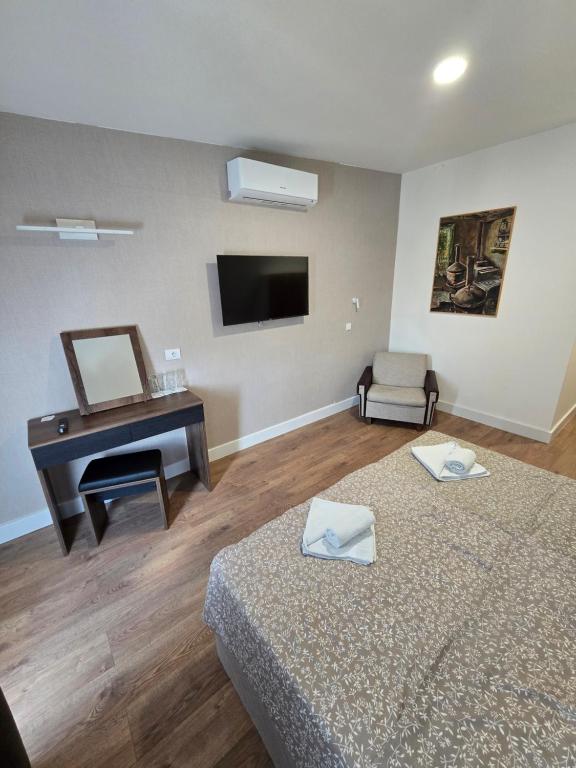 Televiisor ja/või meelelahutuskeskus majutusasutuses Hotel Sax Balkan