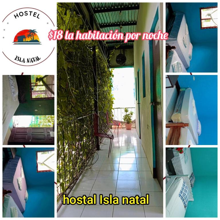 Foto sihtkohas Moyogalpa asuva majutusasutuse Hostal Isla Natal galeriist