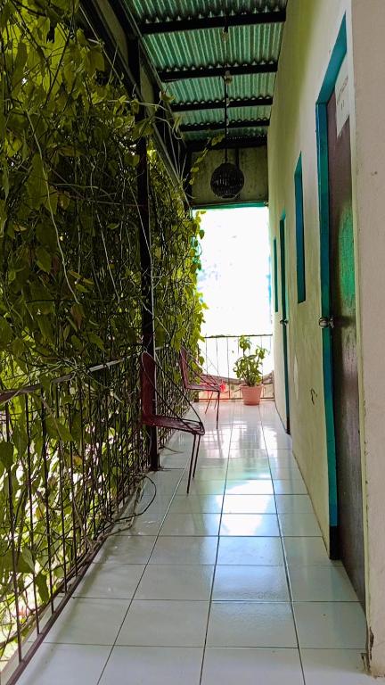 Rõdu või terrass majutusasutuses Hostal Isla Natal
