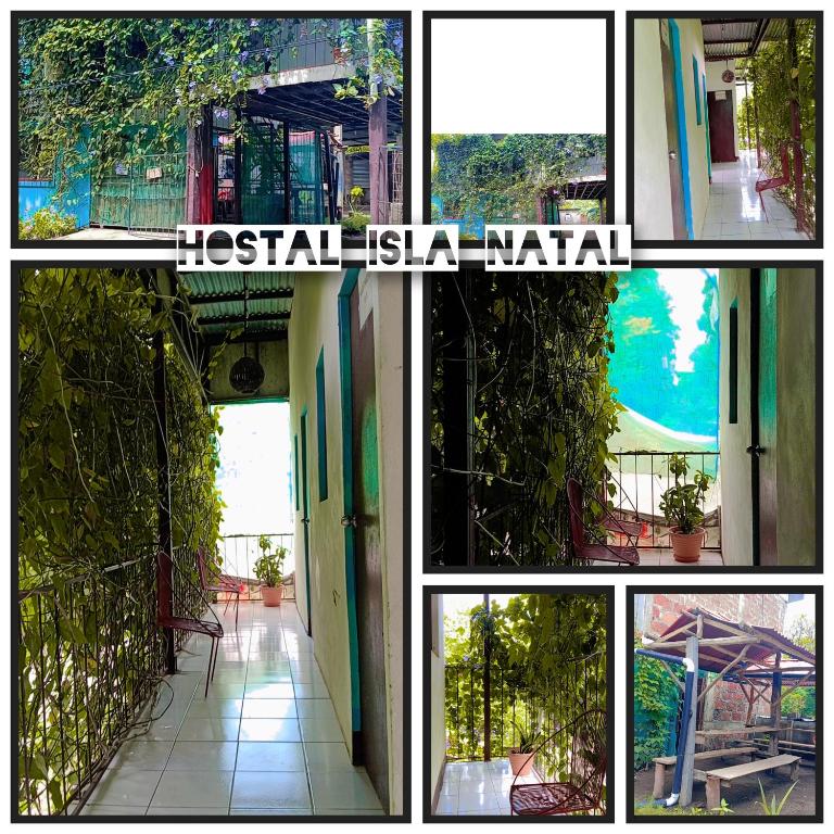 Foto sihtkohas Moyogalpa asuva majutusasutuse Hostal Isla Natal galeriist