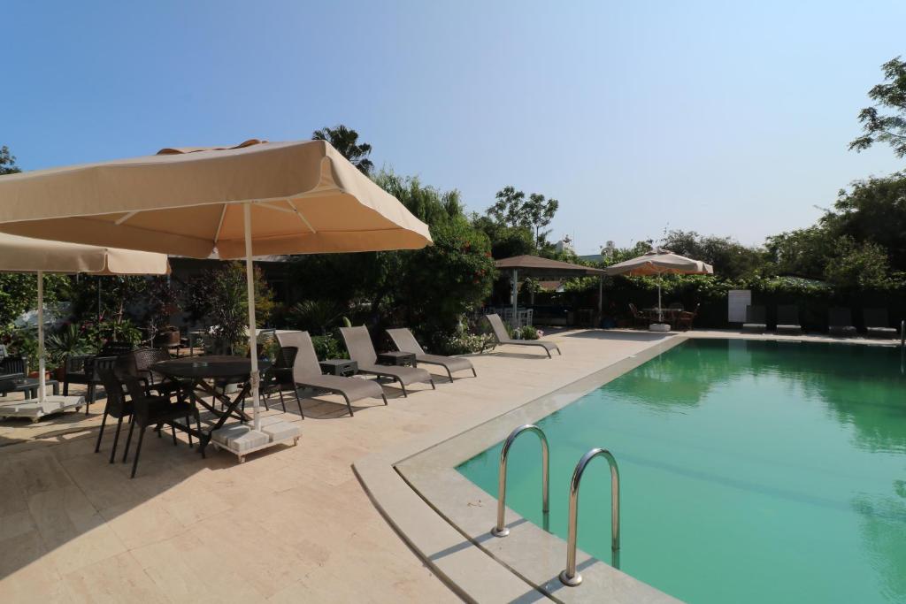 The swimming pool at or close to Paradise Garden Apartments