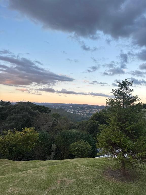 a tree sitting on top of a green hill at ESPAÇO INTEIRO Fleur in Campos do Jordão