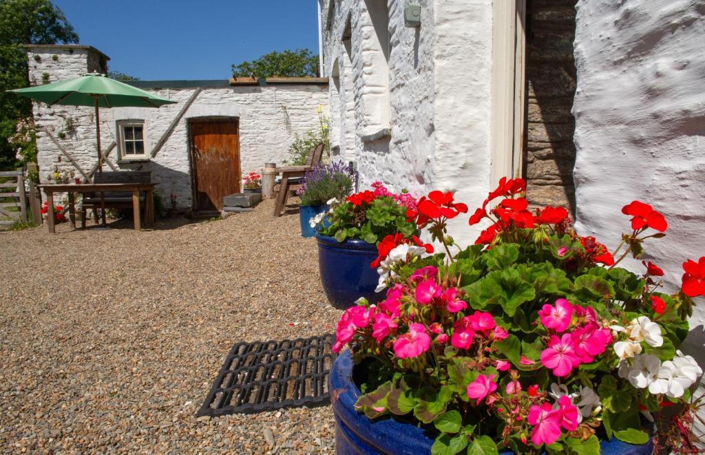 Cottage for 8 at Nevern