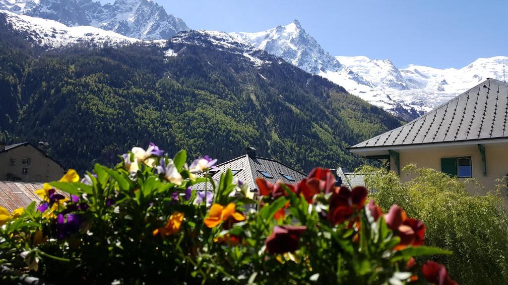 a bunch of flowers in front of a mountain at Hotel Du Clocher in Chamonix