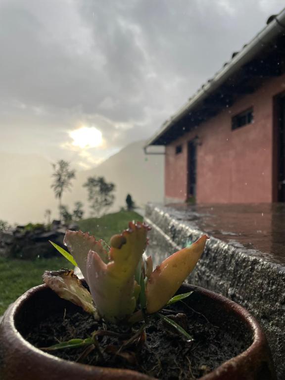 La Casa de Mario - Gocta