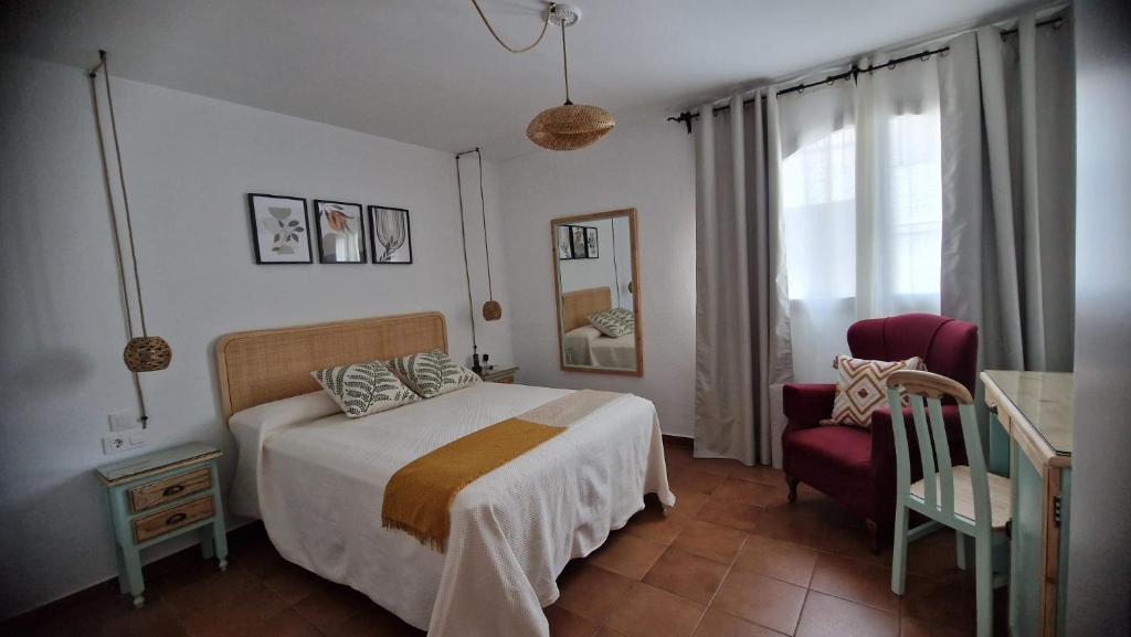 Hotel Los Olivos - 7