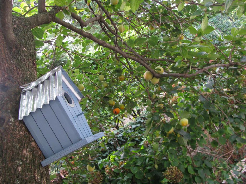 a blue bird house hanging from a tree at Apartment Sea Garden in Ičići