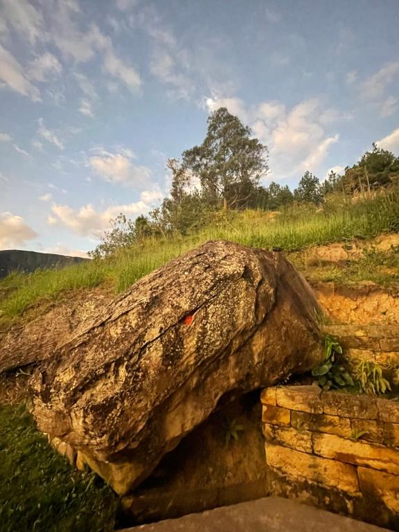 La Casa de Mario - Gocta