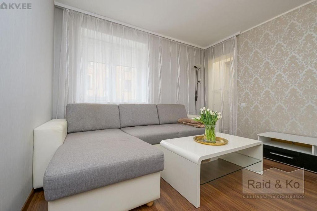 a living room with a couch and a table at Near Kalamaja Kopli 86 Apartment in Vihtra