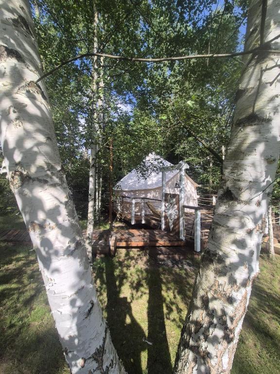 Zahrada ubytování Glamping Stola- Šepot kvetov