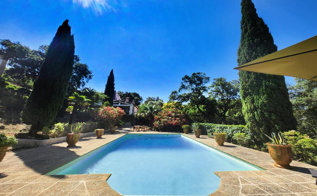 a swimming pool in a garden with trees at Villa de caractère! Sereine, piscine, plages 5mns! in Port Grimaud