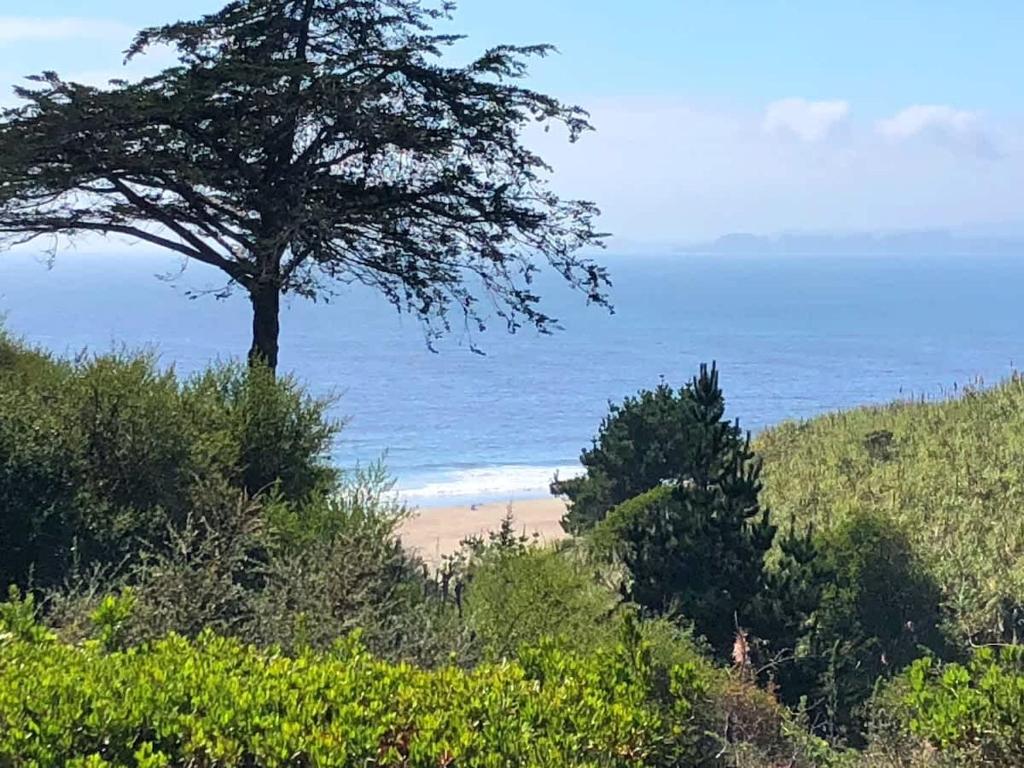 ein Baum auf einem Hügel neben einem Strand in der Unterkunft Breathtaking White Water Views at Seascape Resort in Aptos