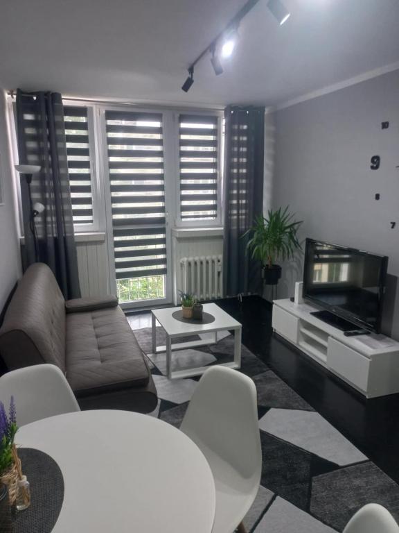 a living room with a couch and a tv at Apartament na Jasnym in Dzierżoniów