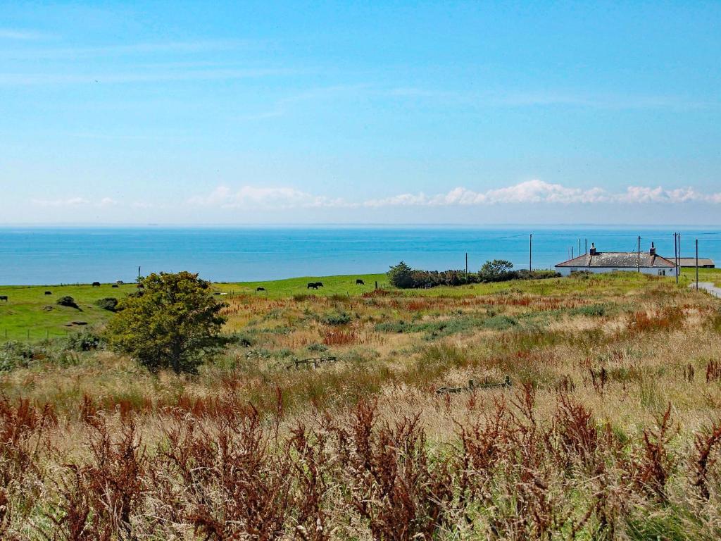 un campo con mucche in un campo con l'oceano di Kirklauchline Cottage a Portpatrick