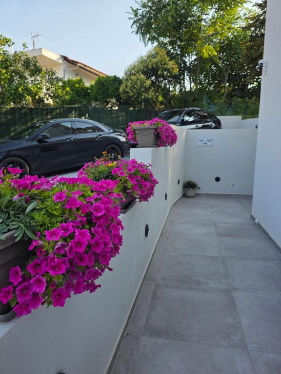 Zahrada ubytování Malka Premium Suites