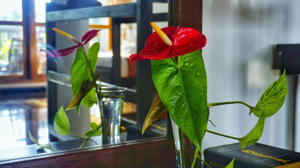 Sigiri Dilu Villa - 19