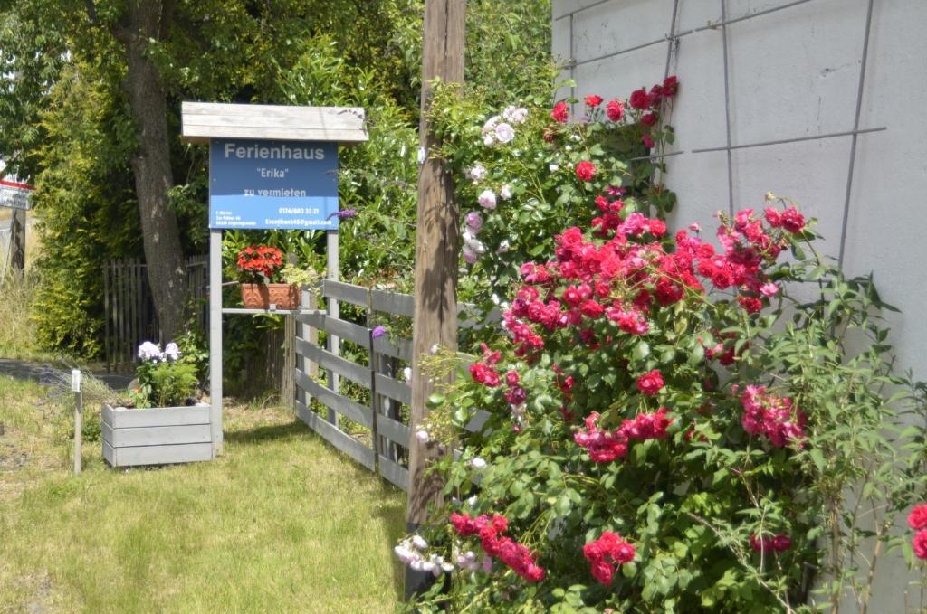a garden with pink flowers and a sign at Ferienhaus Erika in Geringswalde