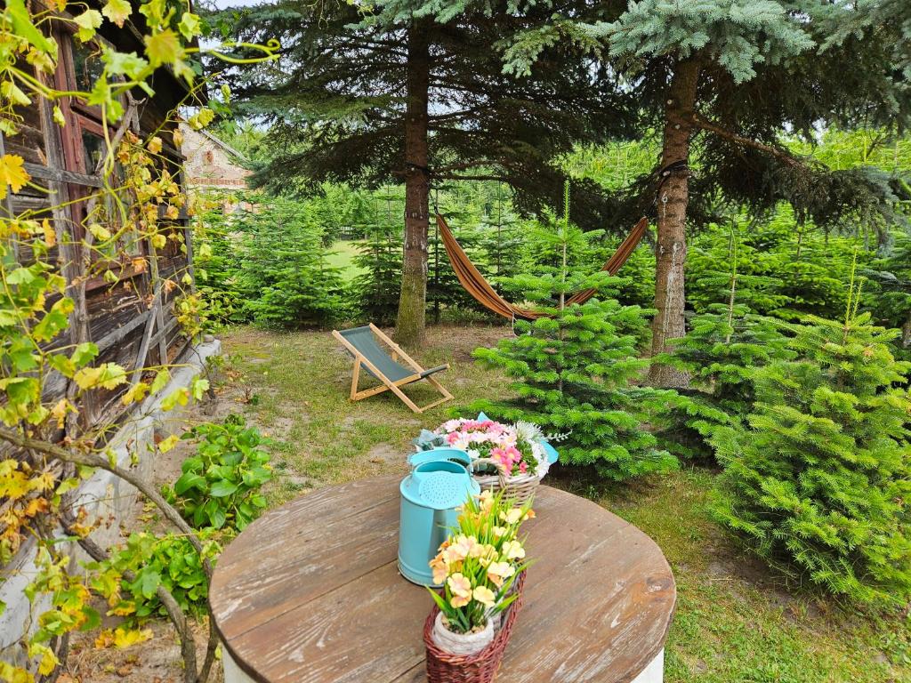 Κήπος έξω από το Sielski Dom I Sauna i Jacuzzi dodatkowo płatna opcja