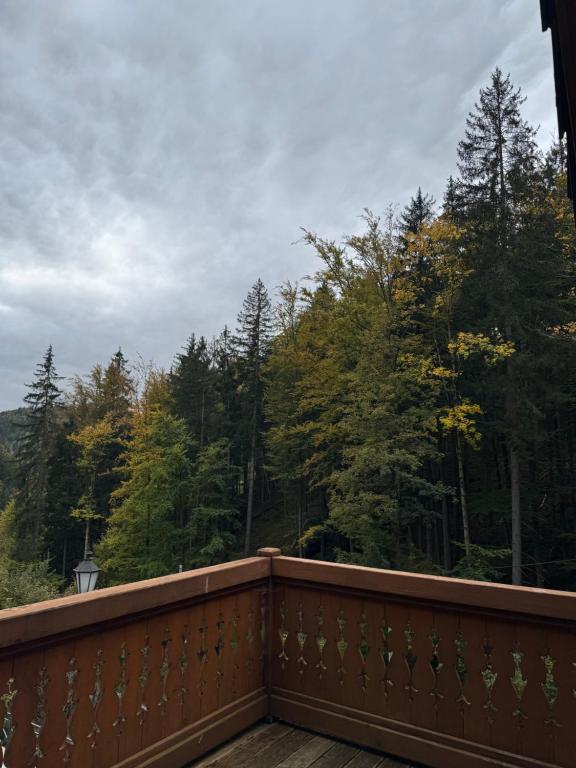 Pensjonat Alpejski Dwór - 15