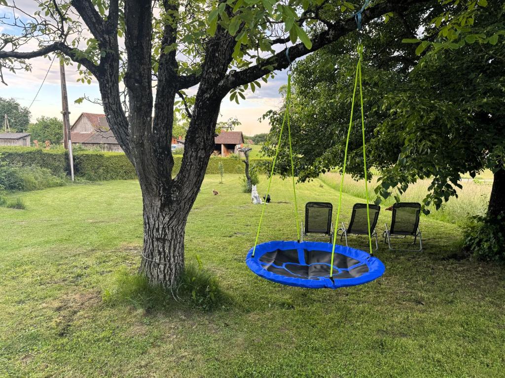 Zahrada ubytování Ferienhof Baba Yaga