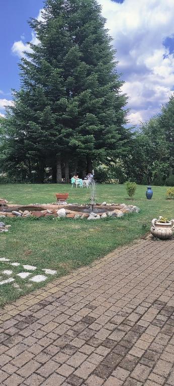 Zahrada ubytování Hotel Grandinetti