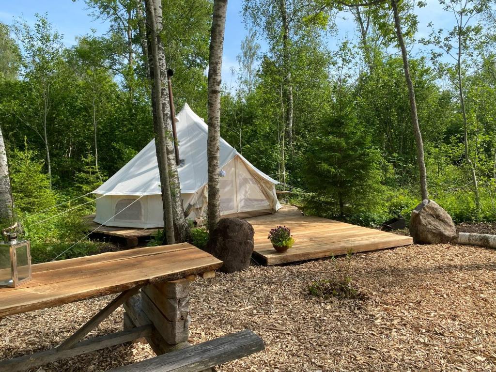 Off-grid forest glamping, Karuse (updated prices 2026)