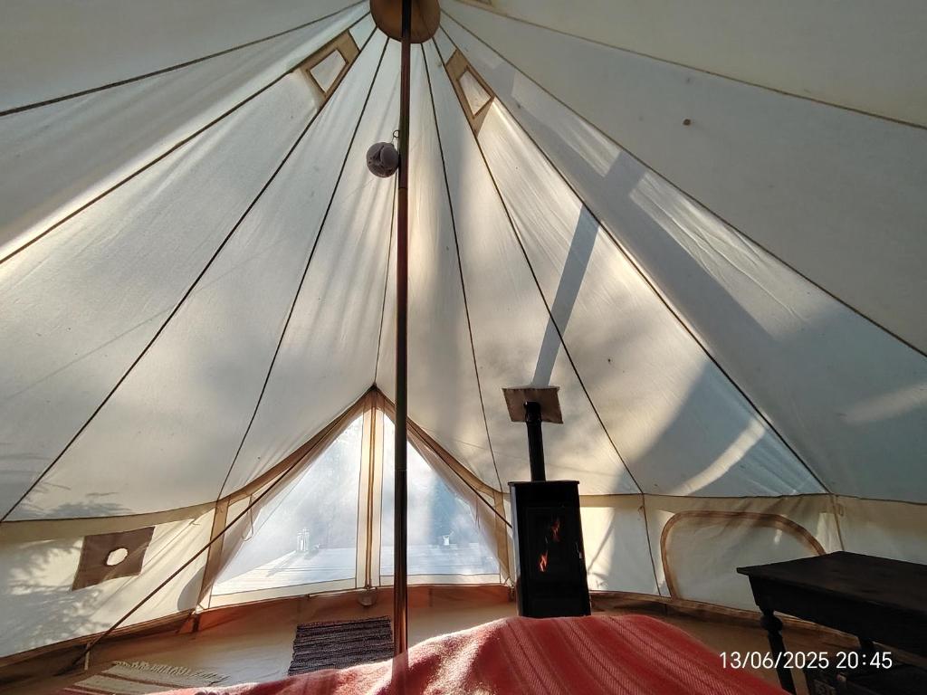 Image showcasing Off-Grid Cabin Rentals to Disconnect from Everything