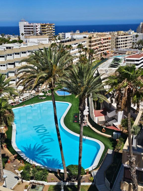 eine Luftaufnahme eines Resort-Pools mit Palmen in der Unterkunft Dinas KOKA Resort in Playa del Ingles