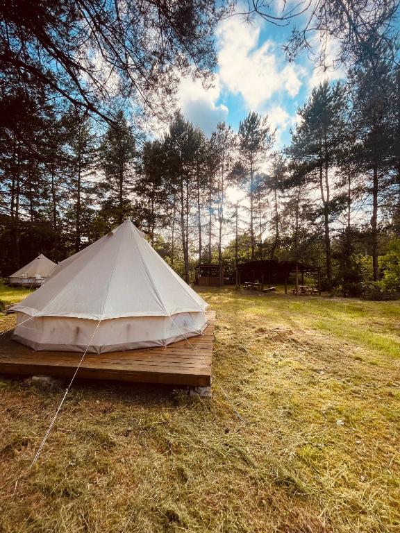 TrzepowoGlamping Ekologiczny Koziołeczek的帐篷,坐在田野的木平台上