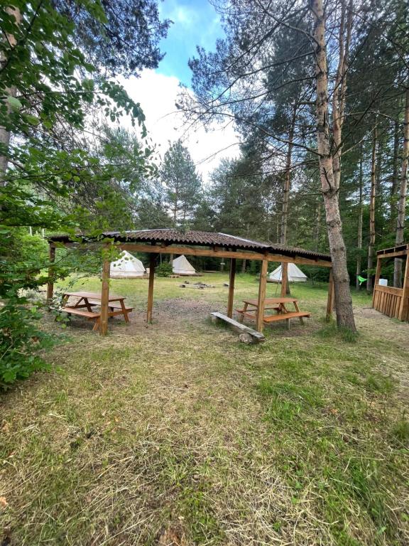 TrzepowoGlamping Ekologiczny Koziołeczek的公园里一组带帐篷的野餐桌
