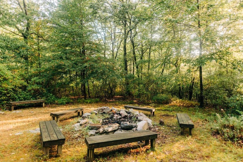 a group of benches sitting around a fire pit at Mohican Outdoor Center in Blairstown